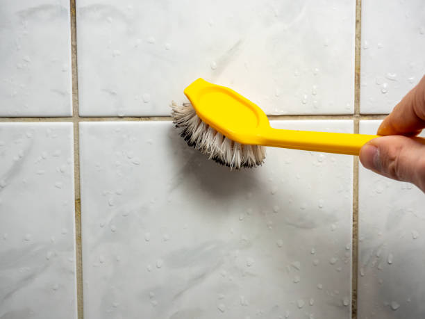 Best Localized Mold Remediation (e.g., coastal areas, humid climates) in Woodville, OH